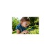 HABA Terra Kids - Kinder-Lupe, Kinderwerkzeug