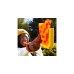 Hasbro Nerf Minecraft Firebrand, Nerf Gun