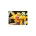 Hasbro Transformers: Aufstieg der Bestien - Beast-Mode Bumblebee, Spielfigur