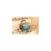 Igloo ECOCOOL Latitude 16 Roller, Kühlbox(grün/weiß)