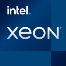 Intel® Xeon® E-2314, Prozessor(Tray-Version)