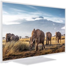 JVC LT-43VF5155W, LED-Fernseher(108 cm (43 Zoll), weiß, FullHD, Triple Tuner, SmartTV)