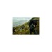 Jack Wolfskin Denali 65+10 Men, Rucksack(schwarz, 65+10 Liter)