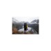 Jack Wolfskin Wilderness Photo Pack 65, Rucksack(dunkelgrau, 50+15 Liter)