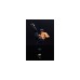 Jada Toys Street Fighter ll - Fei-Long, Spielfigur