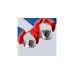 KNIPEX Elektronik-Seitenschneider 77 02 115, Schneid-Zange(rot/blau, Länge 115mm)