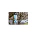 Katadyn Trinkbeutel BeFree Filtersystem 3,0L Gravity, Wasserbehälter(transparent/blau)