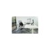 Kensington SmartFit Easy RiserGo 14