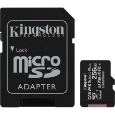 Kingston R100 256 GB microSDXC, Speicherkarte(schwarz, UHS-I U3, Class 10, V30, A2)