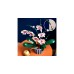 LEGO 10311 Creator Expert Orchidee, Konstruktionsspielzeug(Outlet)