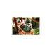 LEGO 10315 Icons Garten der Stille, Konstruktionsspielzeug