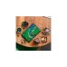 LEGO 10315 Icons Garten der Stille, Konstruktionsspielzeug