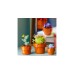 LEGO 10329 Icons Mini Pflanzen, Konstruktionsspielzeug