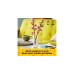 LEGO 40725 Iconic Kirschblüten, Konstruktionsspielzeug
