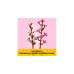 LEGO 40725 Iconic Kirschblüten, Konstruktionsspielzeug