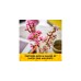 LEGO 40725 Iconic Kirschblüten, Konstruktionsspielzeug