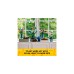 LEGO 40725 Iconic Kirschblüten, Konstruktionsspielzeug