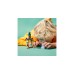 LEGO 43198 Disney Princess Annas Schlosshof, Konstruktionsspielzeug