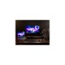Lenovo Legion 9 16IRX8 (83AG0009GE), Gaming-Notebook(schwarz, Windows 11 Home 64-Bit, 40.6 cm (16 Zoll) & 165 Hz Display, 2 TB SSD)