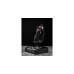 Logitech G Saitek X52 PRO FLIGHT, Hotas(Schubregler)