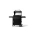 Masterbuilt Autoignite Series 545 digitaler Holzkohlegrill + Smoker(schwarz, WiFi-Steuerung)