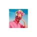 Mattel Barbie The Movie - Margot Robbie als Barbie: Puppe im rosa Jumpsuit