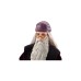 Mattel Harry Potter Die Kammer des Schreckens Professor Dumbledore Puppe