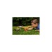 Mattel Jurassic World Wild Roar Hesperosaurus, Spielfigur