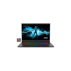 Medion ERAZER Beast X25 (30034140), Gaming-Notebook(schwarz, Windows 10 Home 64-Bit, 43.9 cm (17.3 Zoll) & 240 Hz Display, 1 TB SSD)