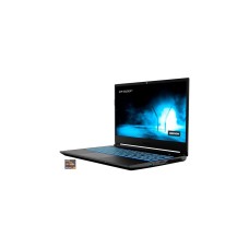 Medion ERAZER Crawler E25 (MD62326), Gaming-Notebook(schwarz, Windows 11 Home 64-Bit, 39.6 cm (15.6 Zoll) & 144 Hz Display, 512 GB SSD)