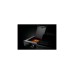 Napoleon Gasgrill Freestyle 425 SIB Graphit, mit SIZZLE ZONE + Plancha + Tool(graphit/schwarz, Aktionspaket 