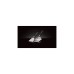Napoleon Gasgrill Freestyle 425 SIB Graphit, mit SIZZLE ZONE + Plancha + Tool(graphit/schwarz, Aktionspaket 