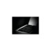Napoleon Gasgrill Rogue SE 425 Edelstahl(edelstahl, mit SIZZLE-ZONE)