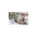 Netgear Orbi Pro SXK50 WiFi6 AX5400 Tri-Band, Router(weiß, Router + Satellit)