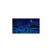 Nintendo Animal Crossing: New Horizons, Nintendo Switch-Spiel