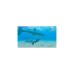 Nintendo Endless Ocean Luminous, Nintendo Switch-Spiel