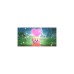 Nintendo Kirby Star Allies, Nintendo Switch-Spiel