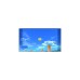 Nintendo New Pokémon Snap, Nintendo Switch-Spiel