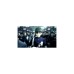 Nintendo Shin Megami Tensei V , Nintendo Switch-Spiel