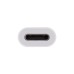DisplayPort Buchse(weiß, 11cm)