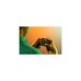 PDP Wired Controller - Atomic Black, Gamepad(schwarz/orange, für Xbox Series X|S, Xbox One, PC)