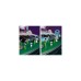 PLAYMOBIL 70800 Ayuma Magische Energiequelle, Konstruktionsspielzeug