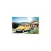PLAYMOBIL 70827 Famous Cars Volkswagen Käfer - Special Edition, Konstruktionsspielzeug