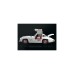 PLAYMOBIL 70922 Famous Cars Mercedes-Benz 300 SL, Konstruktionsspielzeug