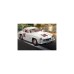 PLAYMOBIL 70922 Famous Cars Mercedes-Benz 300 SL, Konstruktionsspielzeug
