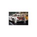 PLAYMOBIL 70922 Famous Cars Mercedes-Benz 300 SL, Konstruktionsspielzeug