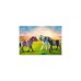 PLAYMOBIL 70999 Country 3 Pferde: Friese, Knabstrupper & Andalusier, Konstruktionsspielzeug
