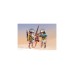 PLAYMOBIL 71024 Novelmore Sal'ahari Sands - Skorpionjagd am Wrack, Konstruktionsspielzeug