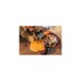 PLAYMOBIL 71024 Novelmore Sal'ahari Sands - Skorpionjagd am Wrack, Konstruktionsspielzeug