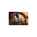 PLAYMOBIL 71026 Novelmore Sal'ahari Sands - Dünensurfer, Konstruktionsspielzeug